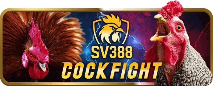 Người chơi tận hưởng các trò chơi sòng bạc trực tuyến i9bet150